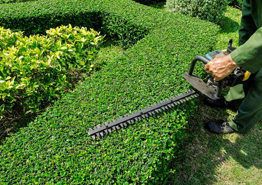 Landscaping_services